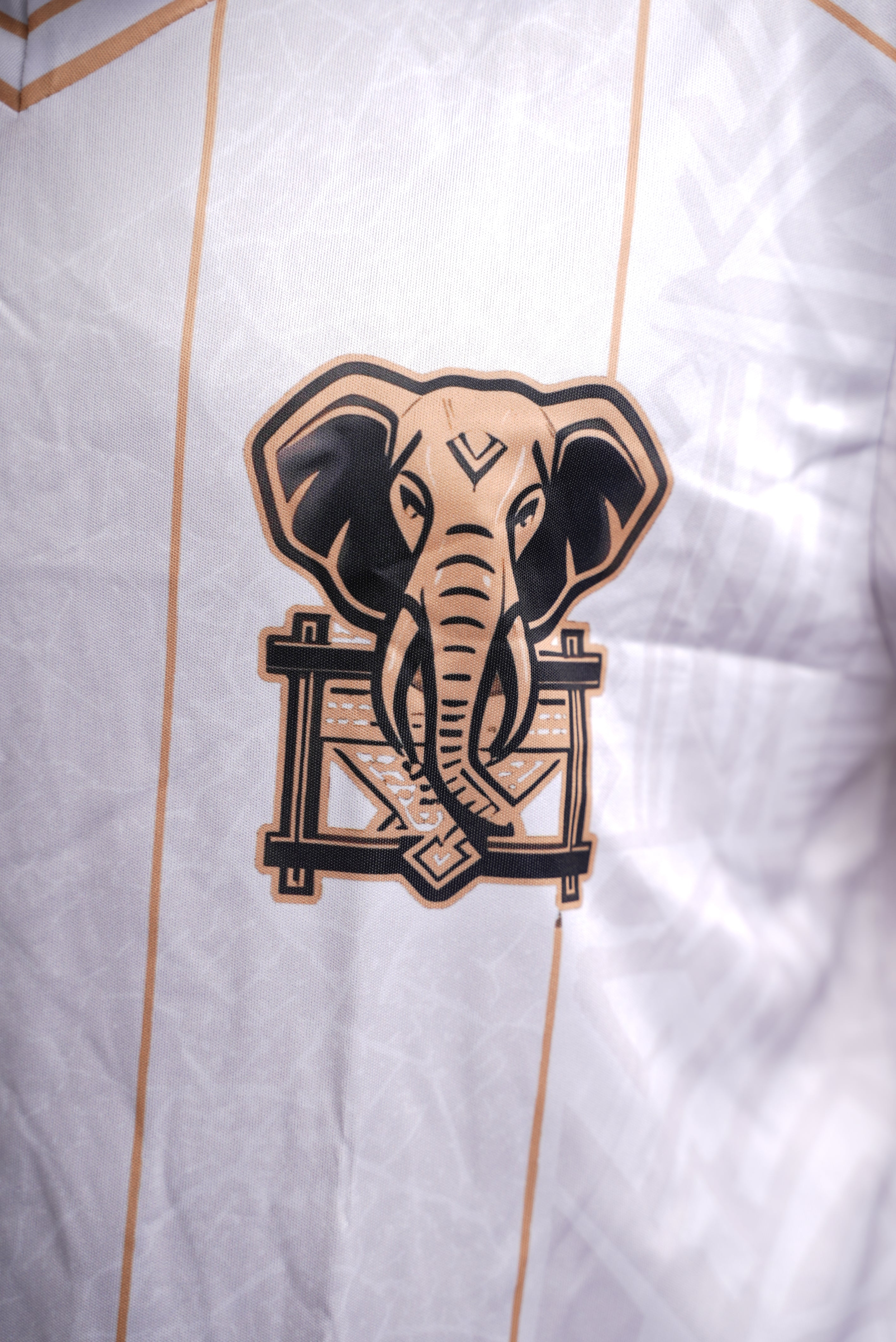 Maillot 225 – Éléphants de Côte d'Ivoire | Édition Blanc