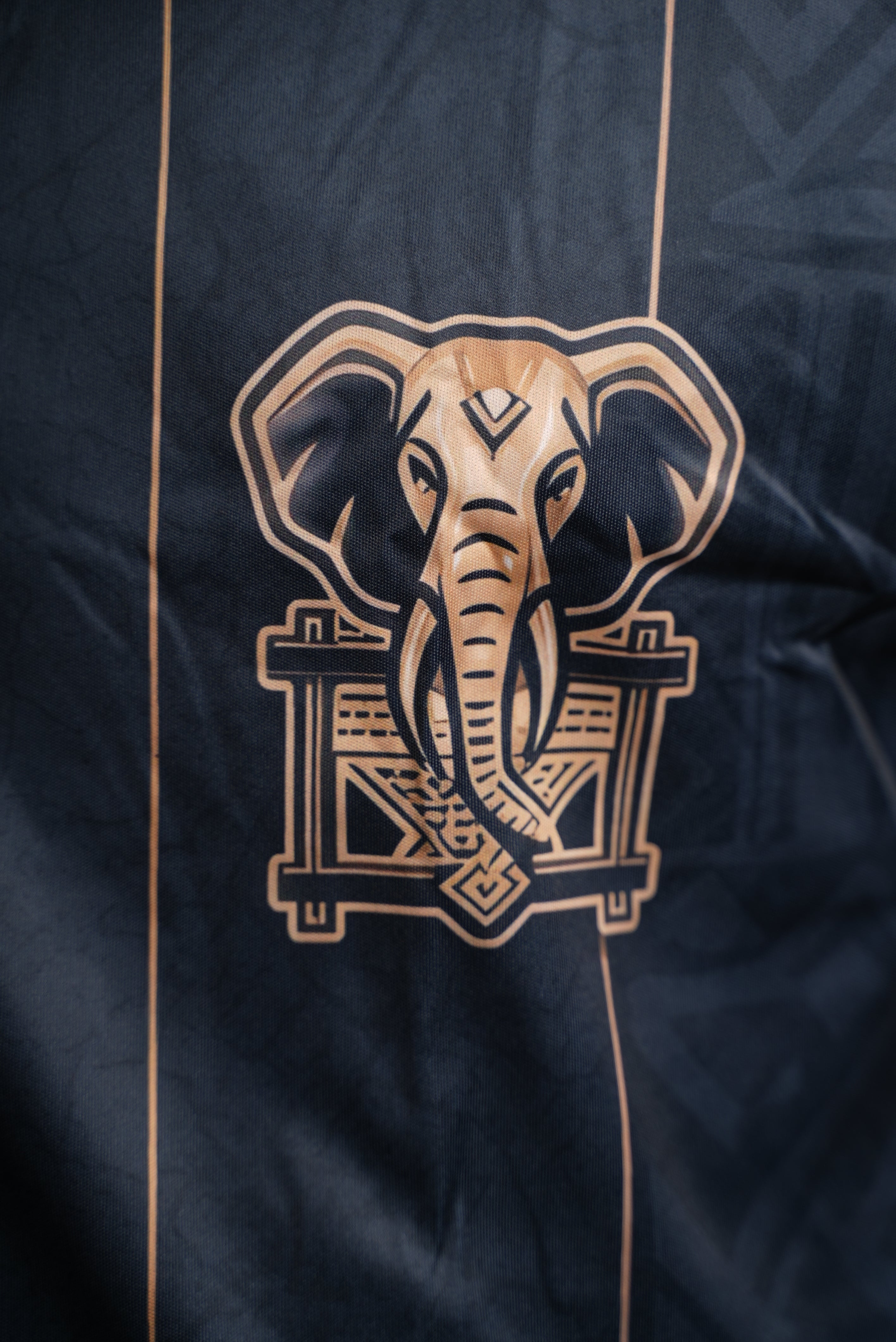 Maillot 225 – Éléphants de Côte d'Ivoire | Édition Spéciale
