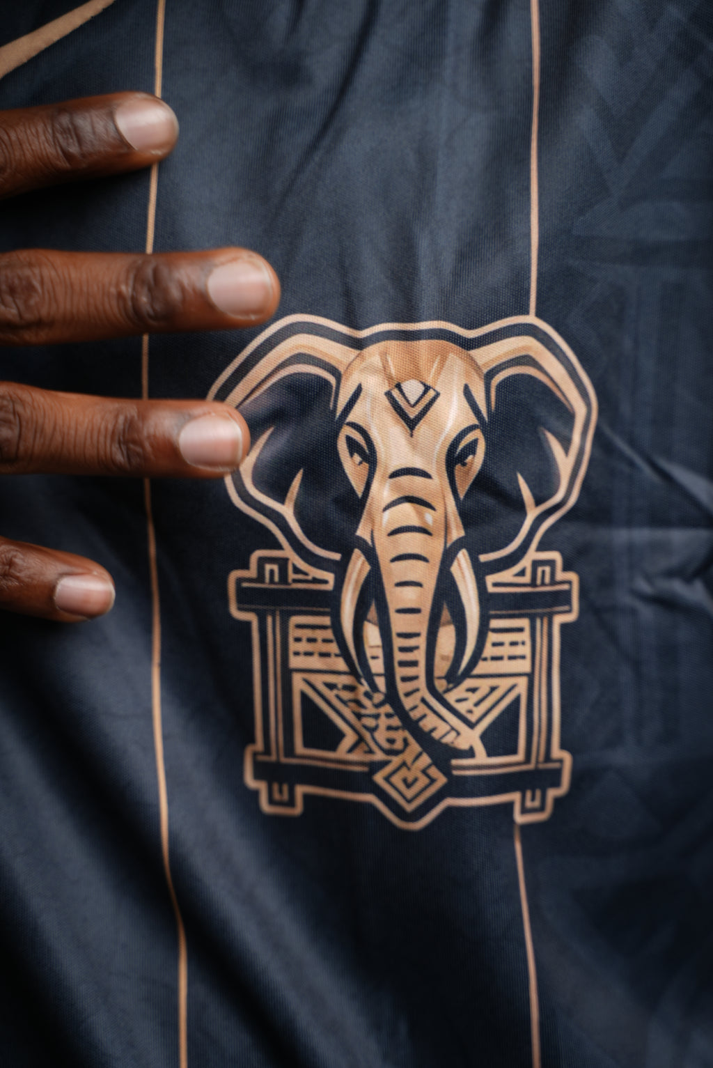 Maillot 225 – Éléphants de Côte d'Ivoire | Édition Spéciale